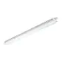 Philips LED Loisteputkivalaisimet Vedenkestävä CoreLine WT120C 33W 4000lm - 840 Kylmä Valkoinen | 120cm - Interact Himmennettävä - Hätävalaistus 3 Tuntia
