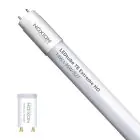 Noxion LED Putki T8 Avant Extreme (EM/Mains) High Output 16.5W 2650lm - 865 Päivänvalo Valkoinen | 150cm - Korvaa 58W